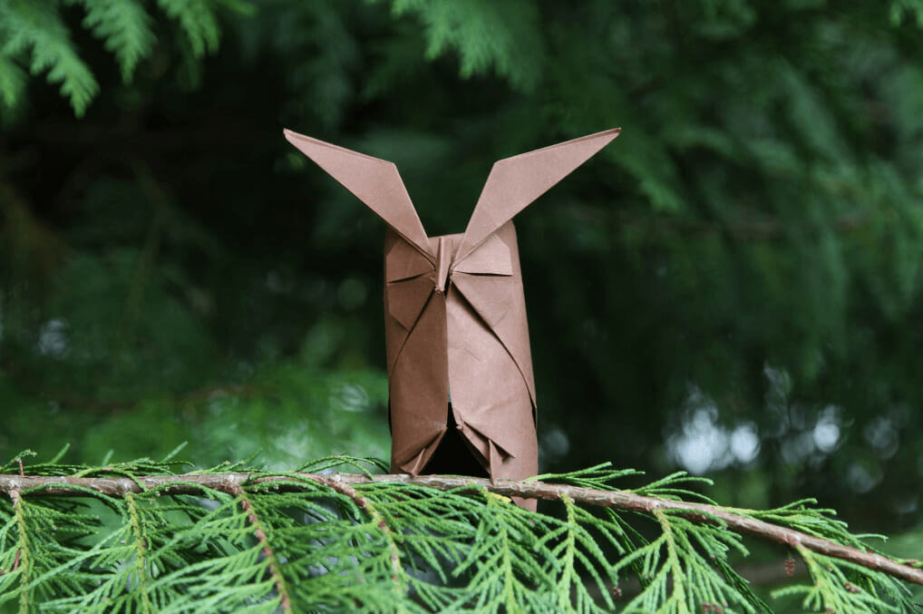 Origami- owls
